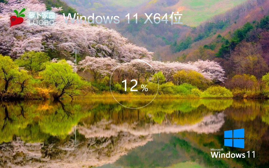 ܲ԰WIN11ҵ ü GHOST windows11 X64 V2022.07