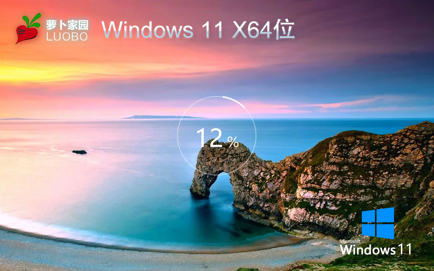windows11 ܲ԰win11רҵ X64λ V2023