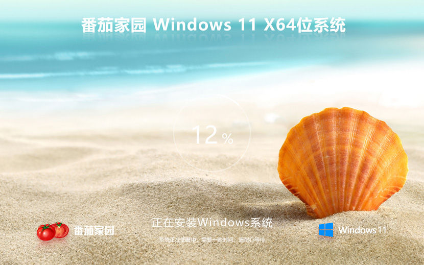 ȶȫѻ԰ Windows11 23H2 64λרҵISO