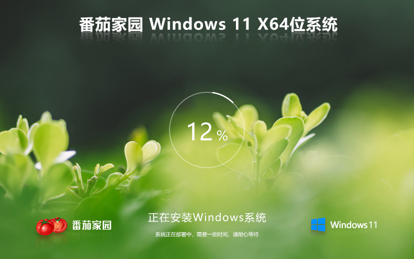 ѻ԰Win11ʽ windows11° ghostϵͳ ISO X64λ 