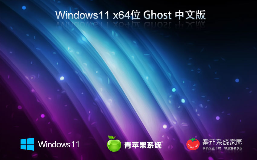 ƻϵͳ Ghost Win11 64λ רҵ