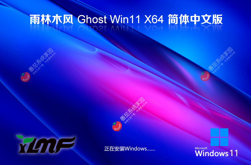ľ Ghost Win11 X64 ʽװ