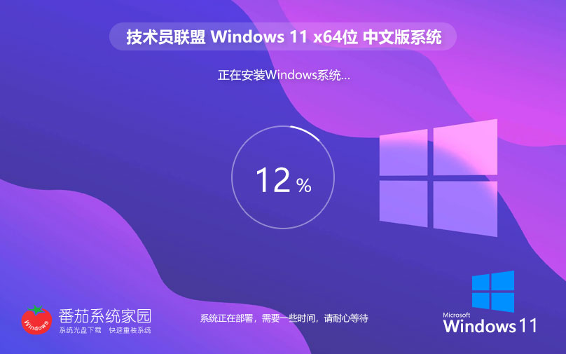 Windows11ְ Ա64λϵͳ  